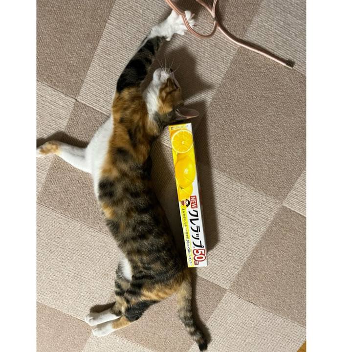 98d29423 fc3c 478c 829c 79a2414b2680 1664538957987