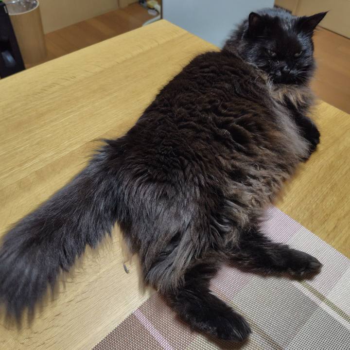 98d2a931 c60f 4f0e b512 5de541f80481 1734611116205