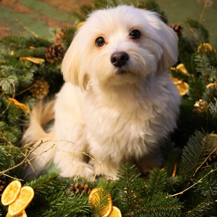 98d2fea0 6f71 4470 b2b6 348b2a3b828a 1764816893504