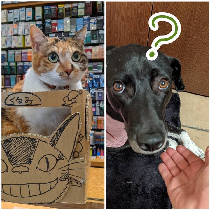 98d30e06 b2bf 49bd 8509 8d44b7834f48 1638174140226