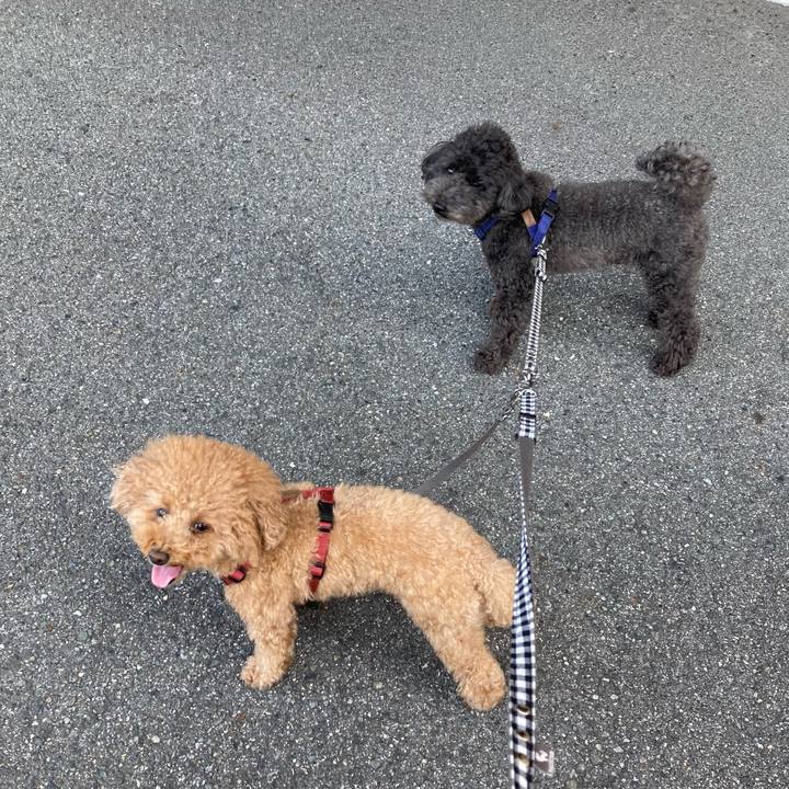 98d3532f fe1f 44c9 b39c a859a69ba7e3 1633327676657