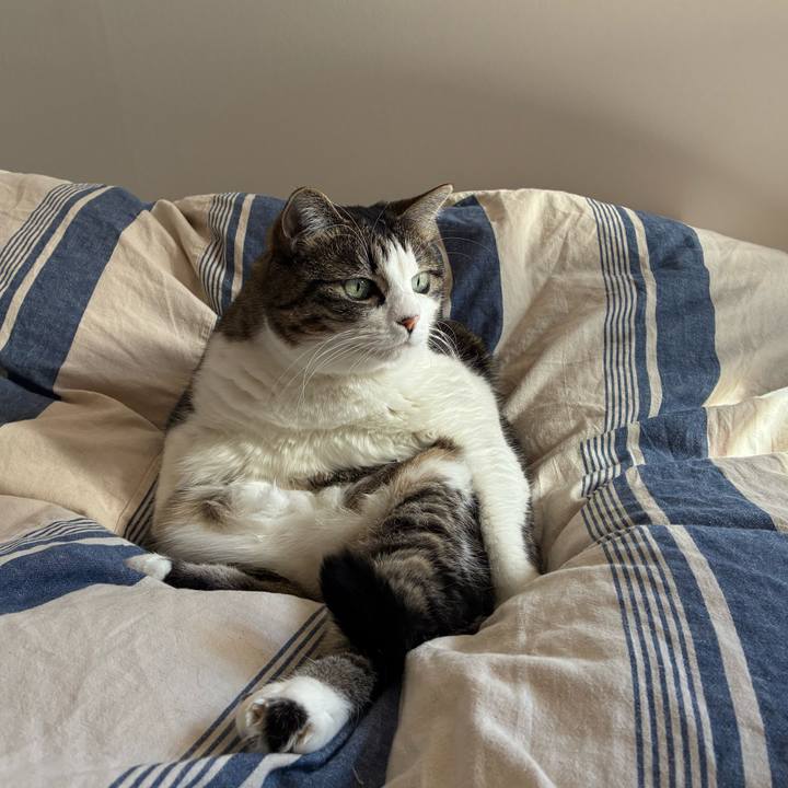 98d3624a 994e 4cfb 84e5 663362d9eb83 1763804723842