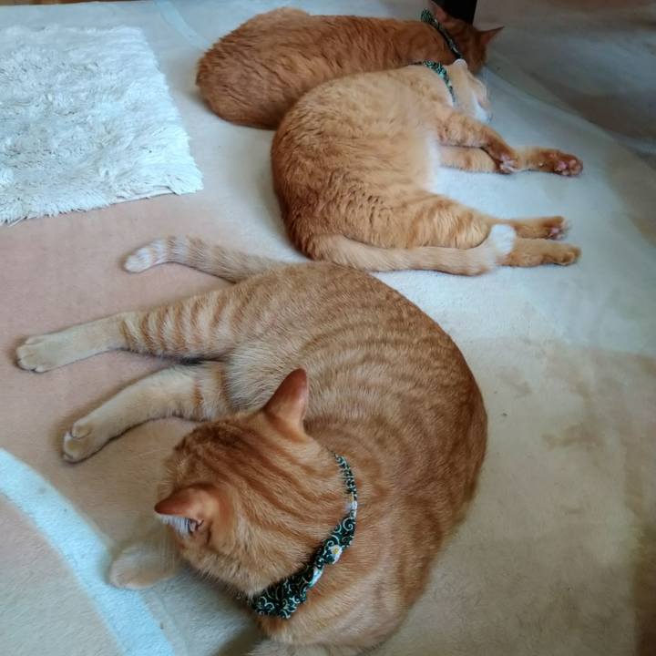 98d36940 3b21 4b48 934b b94ad4114ebe 1580030721531