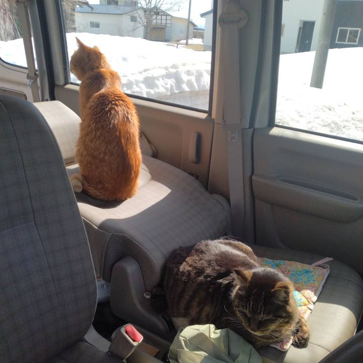 98d375c5 2bea 4934 aabb 4bee66830ce5 1772766251225