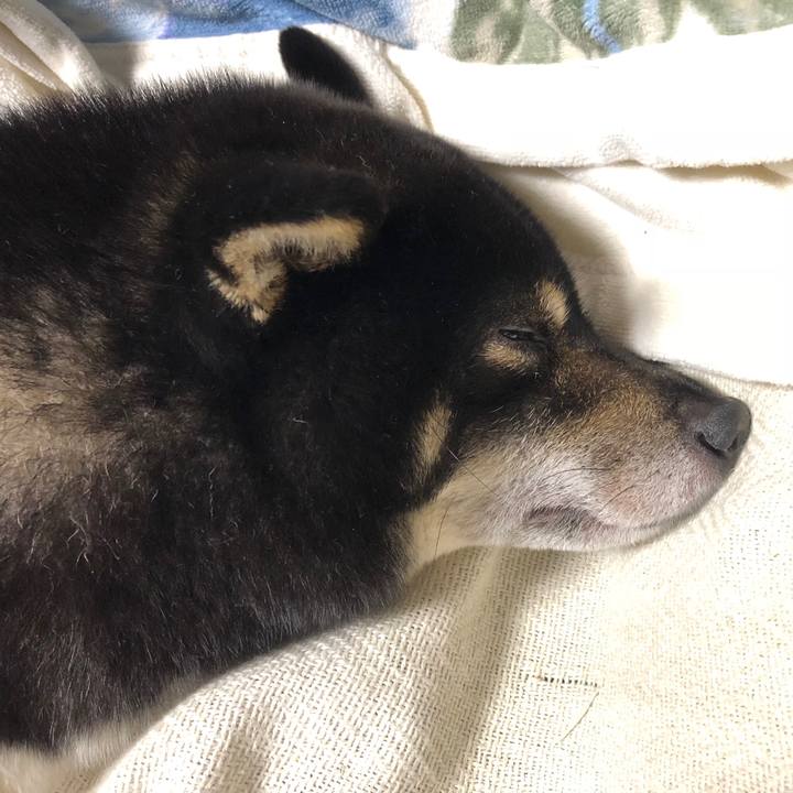 98d38ecb 3a54 46d5 98dd 7a767298a369 1536666321886