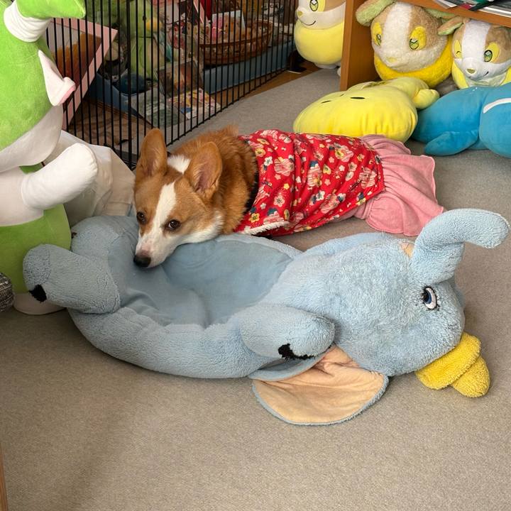 98d3a388 b67f 4ab2 81fe 84feb3502683 1770948310888