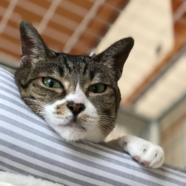 98d3b566 d477 429f 9deb 463a6fc36daf 1533687959630