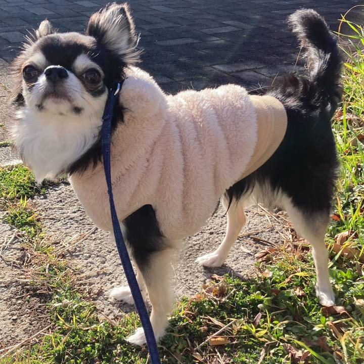 98d3c721 f796 41ba b787 f49e4a22760b 1677337368281