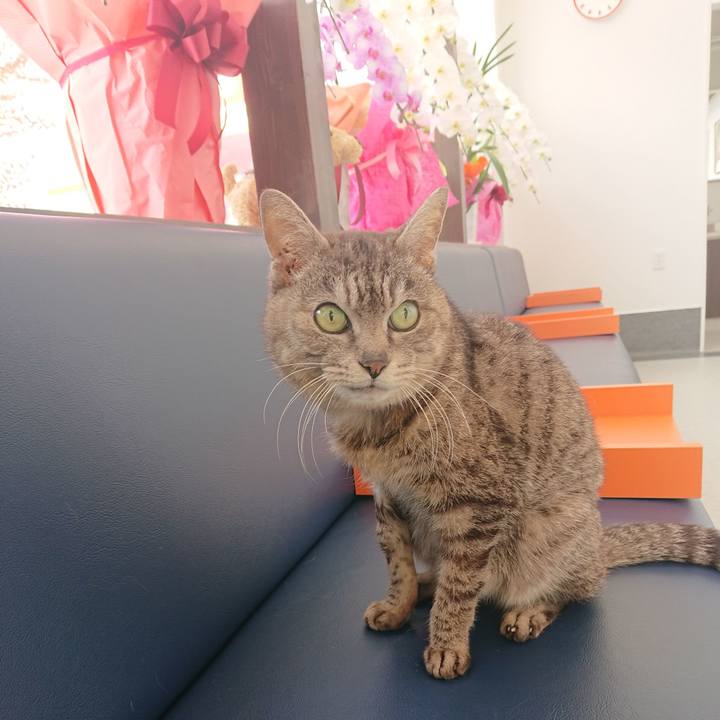 98d3d77c f8fe 4ec2 845c 32b93a60bc55 1587626061222