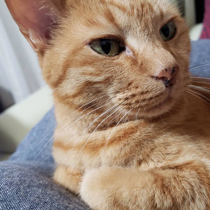 98d3e3af 7ef4 4871 baa8 40380f1f52d6 1722572795908