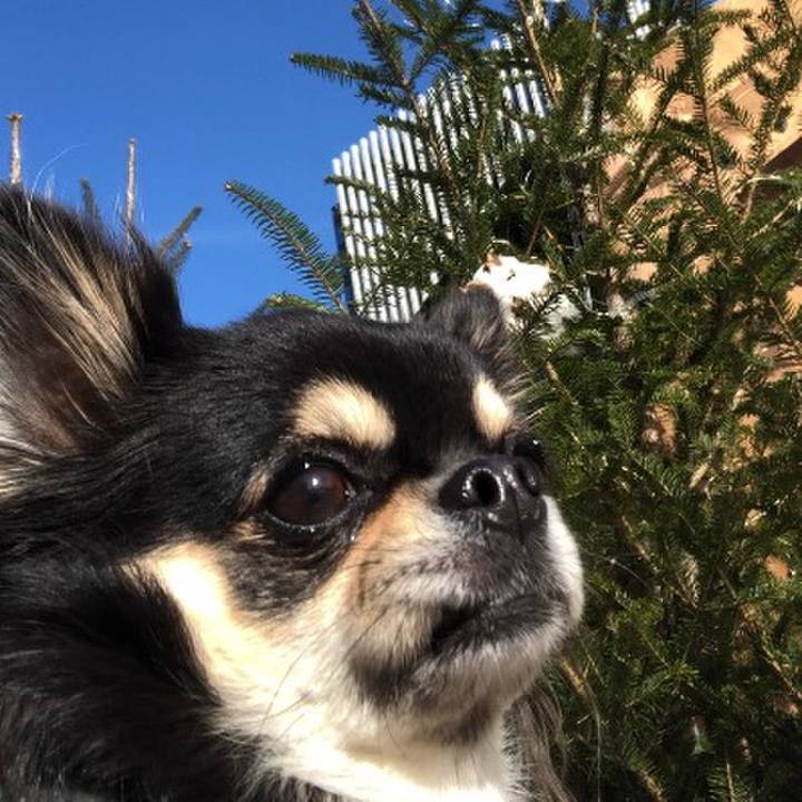 98d41795 33fe 4e51 8880 1e788c86ce8f 1577316385192