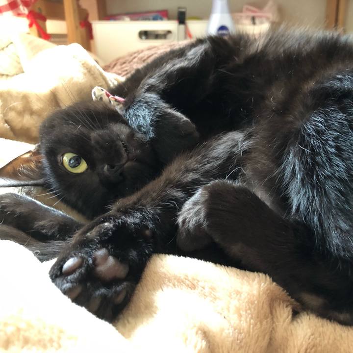 98d42183 c644 4071 8419 616839201f75 1587188420039