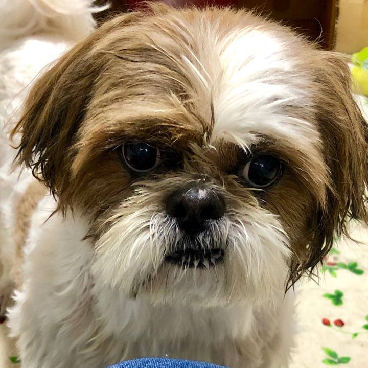 98d43abe 7ef7 4e01 a3cb 7b8b7696403d 1554614922524