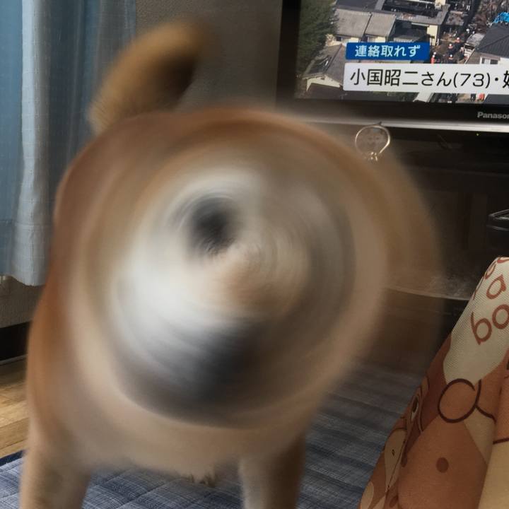 98d46724 ce31 4599 8d5f cbc494203ecb 1524182514136