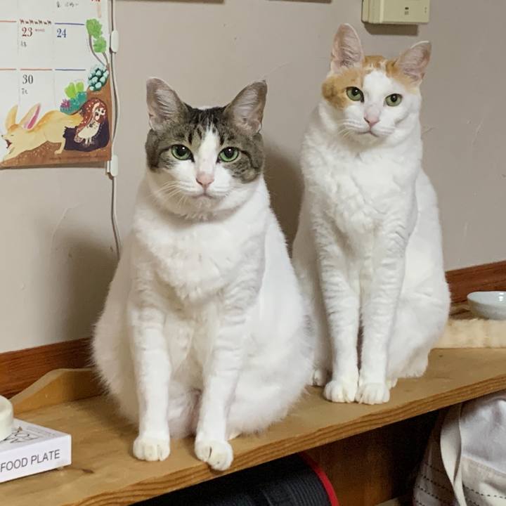 98d4739d c255 4fd1 9537 cb289d485cbe 1662090847981