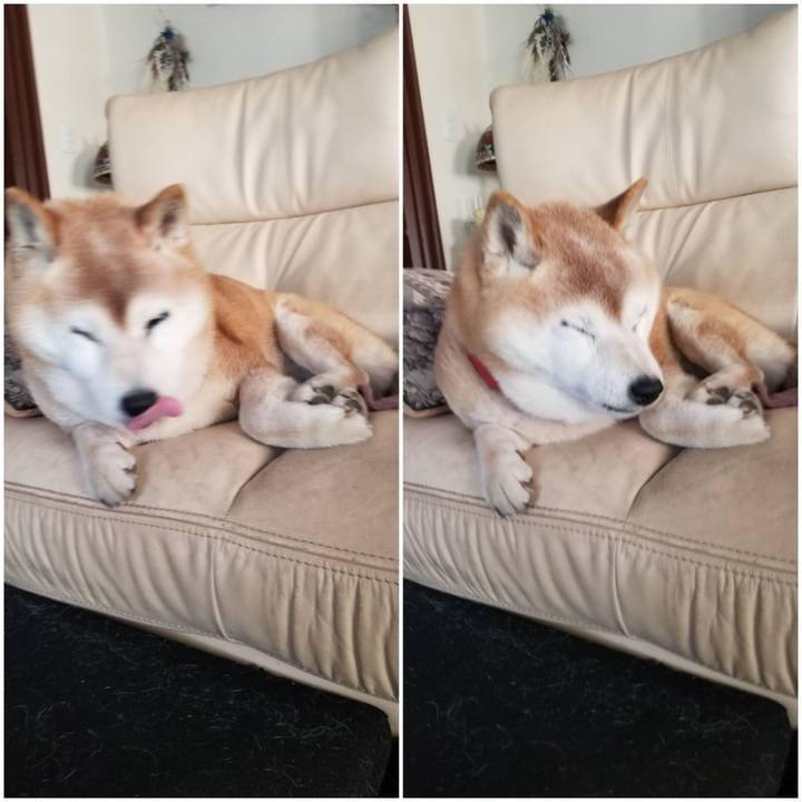 98d4ad97 b387 4aa8 bfc9 eea15d0df2ad 1742541589049