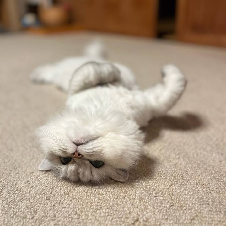 98d4bc21 7789 4e6d acb5 18f573434244 1695898323442