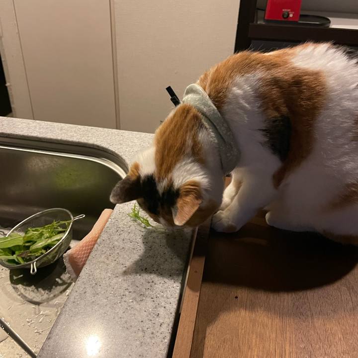 98d4e6ef dc77 4783 8d2a 4abae13c6d36 1678018132970