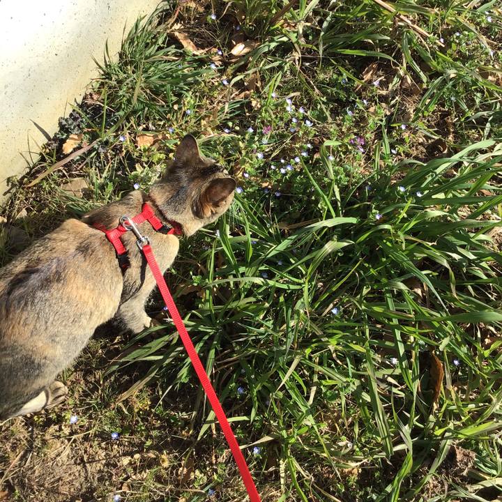 98d4fc32 9b73 4303 88ad a7df5977664d 1583478566398