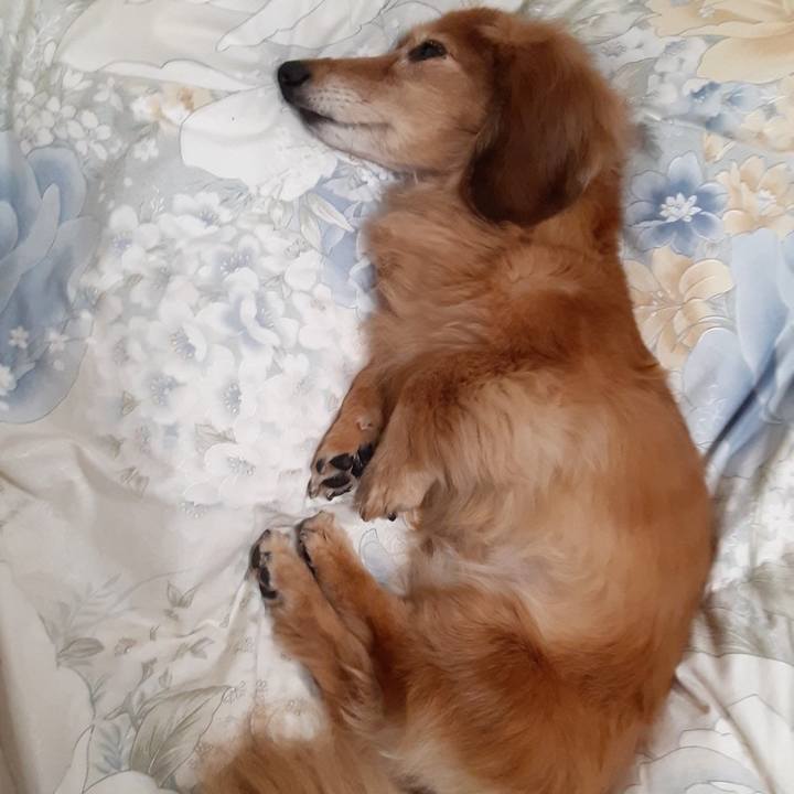 98d5228a 1224 49f4 b7c9 c92581158af5 1637761270143