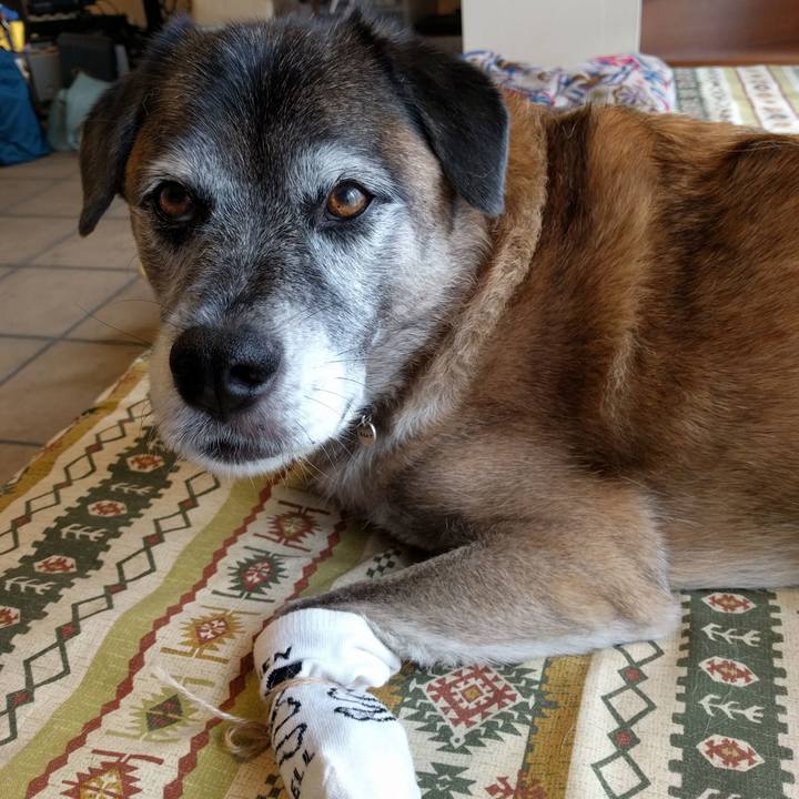 98d52795 75a3 4c58 9088 fbd9e665e209 1539052201563