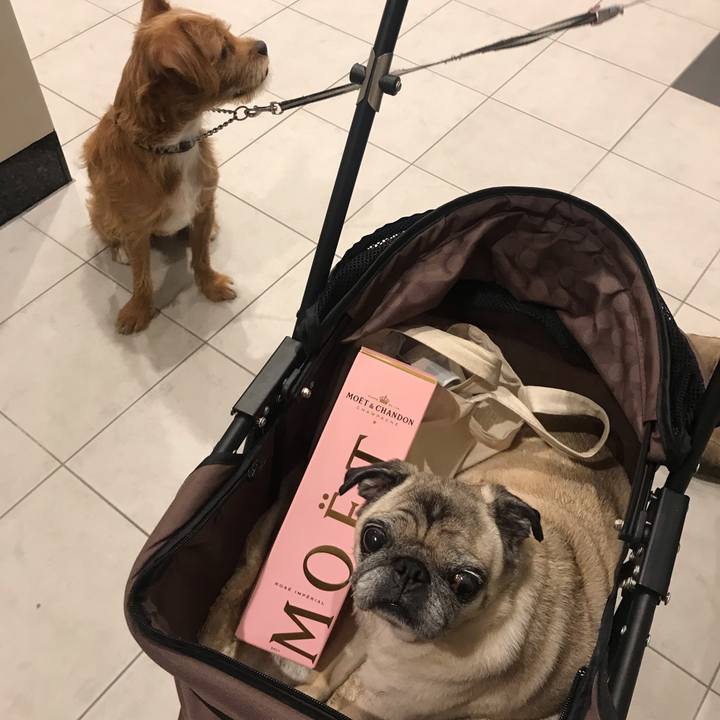 98d53730 caf7 4bc2 a9bc 858753df5d88 1569134404268