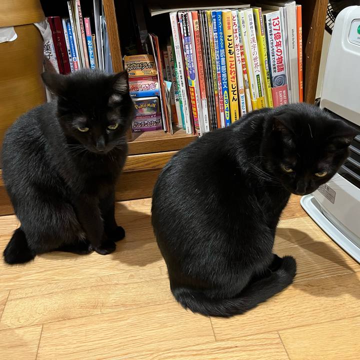 98d54d8b 1042 4088 82c6 9998c700a4a9 1638525720803