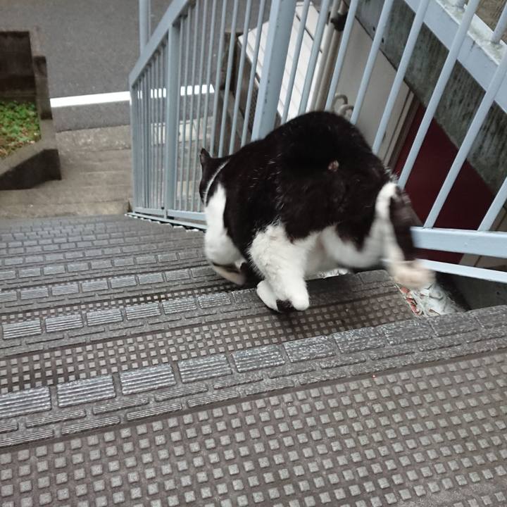 98d570bc ff73 485e 9600 d2b7cdc144e6 1602714049642