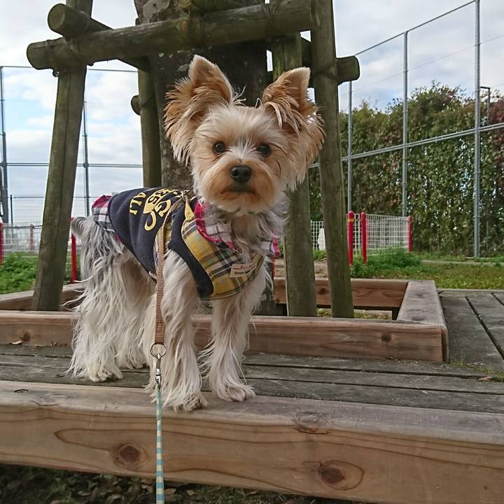 98d5df4f 3b2e 4a37 a8db c2b0574094b7 1510442266790