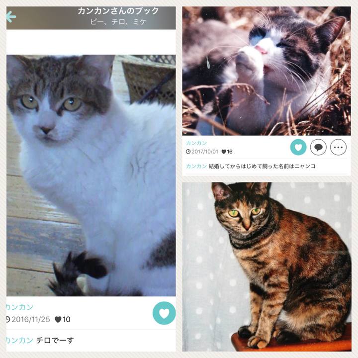 98d61811 8bc5 4a15 a961 b5cbc545ea37 1517890730677