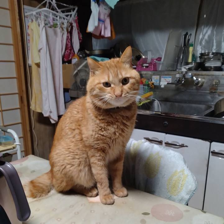 98d6208d 836f 4906 9c92 9817191adf2d 1704490452345