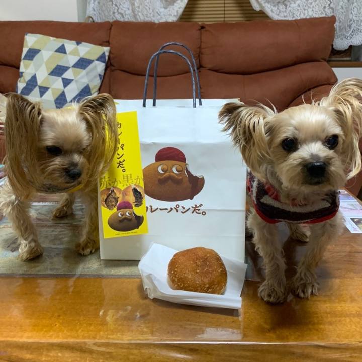 98d64b46 9ca9 4fad 92cc dd418fd8595e 1612173673624