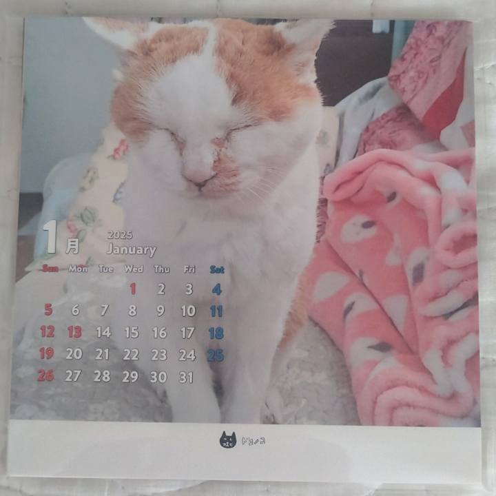 98d64e39 9a5e 4eab b92f de3e90905cec 1733532428617