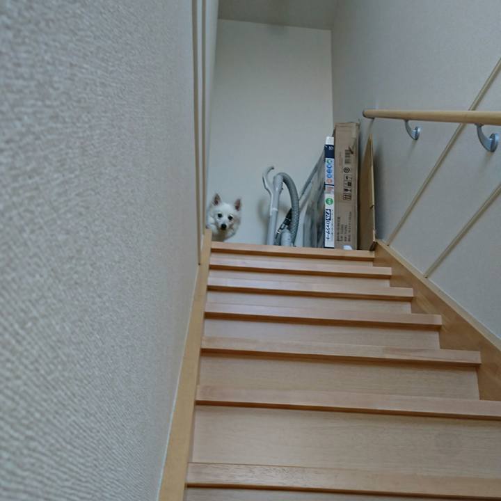 98d6608f aaf6 46e2 90f3 8d5a9f41b4d2 1512309849231