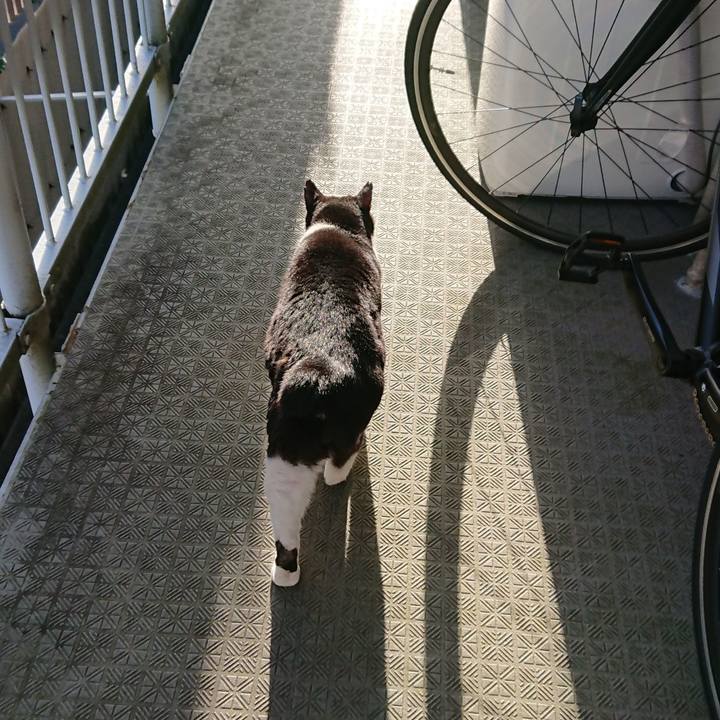 98d69377 110d 49ea 8da9 a3f907e9dd47 1585783431703