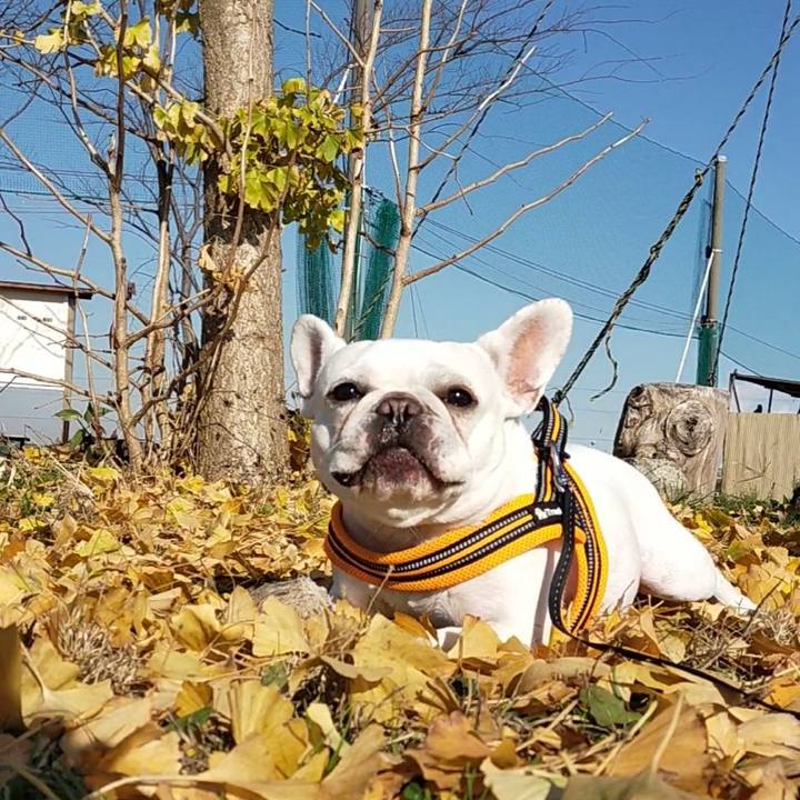 98d6955f 64c8 43a1 bf0d 2d4e1a95b34f 1670625979776