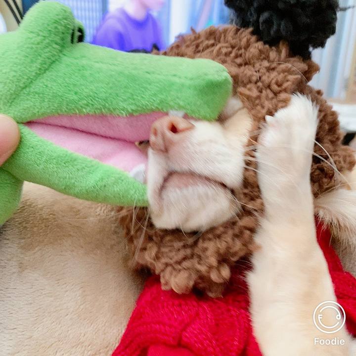 98d6a768 59ba 4250 be2e 4c4a3740eab9 1605437886344