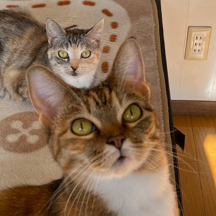 98d6d62d 6527 4cfc 9fb1 7f5170d62d79 1577847530659