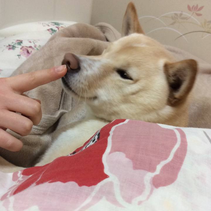 98d6f01c 09db 4700 b3b6 3a5c7890a8b9 1547123434368