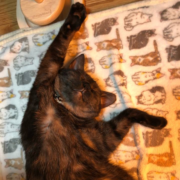 98d7a986 0c94 4649 bb80 24e34b645a3f 1616692989145