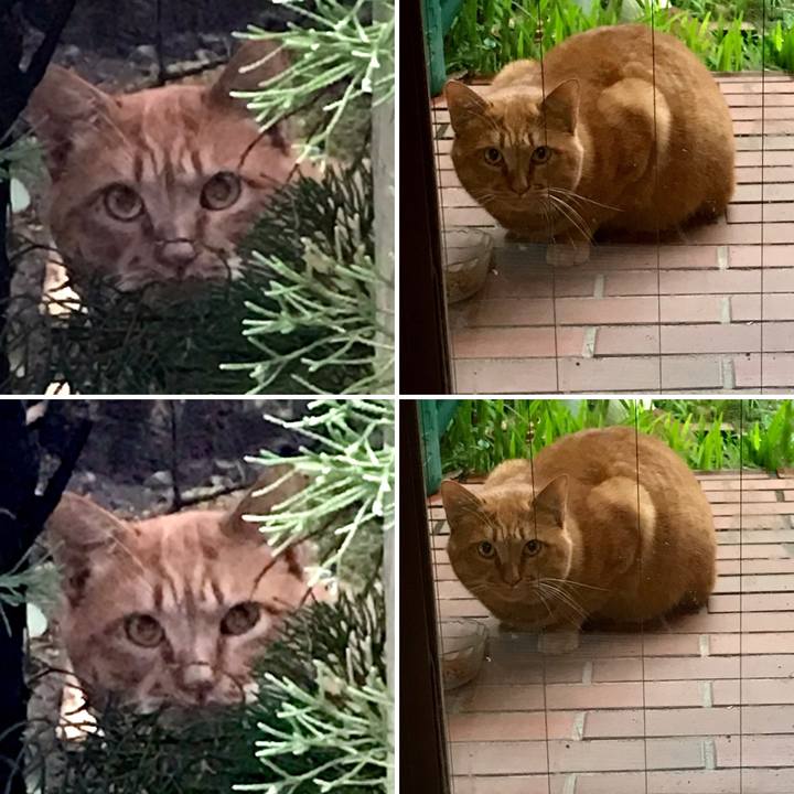 98d7e689 56b8 42f2 992c e9eb58325bed 1606294062614