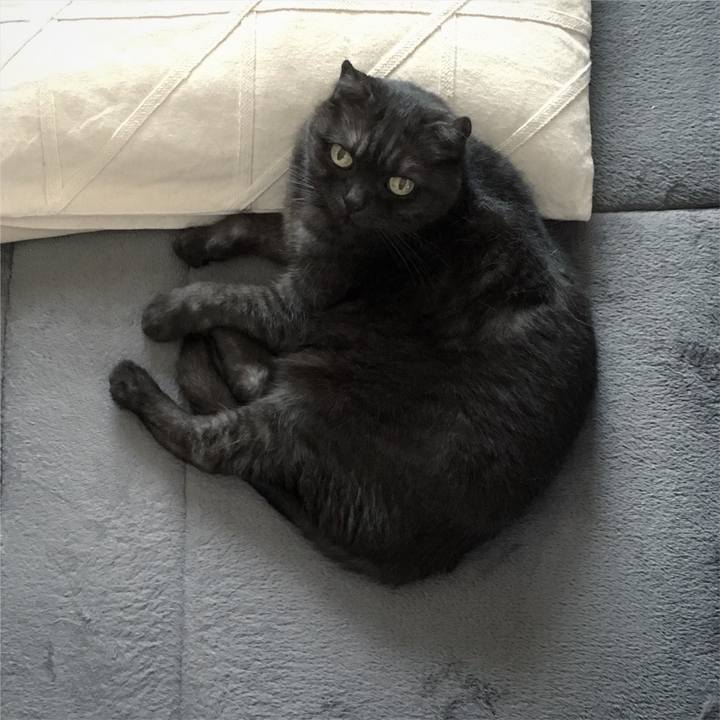 98d800e9 a750 433c 99ff 87fd1e524cc8 1564628051465