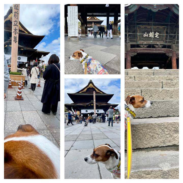 98d83e59 b611 42e5 aab1 088c7dd1a7e6 1649050400262