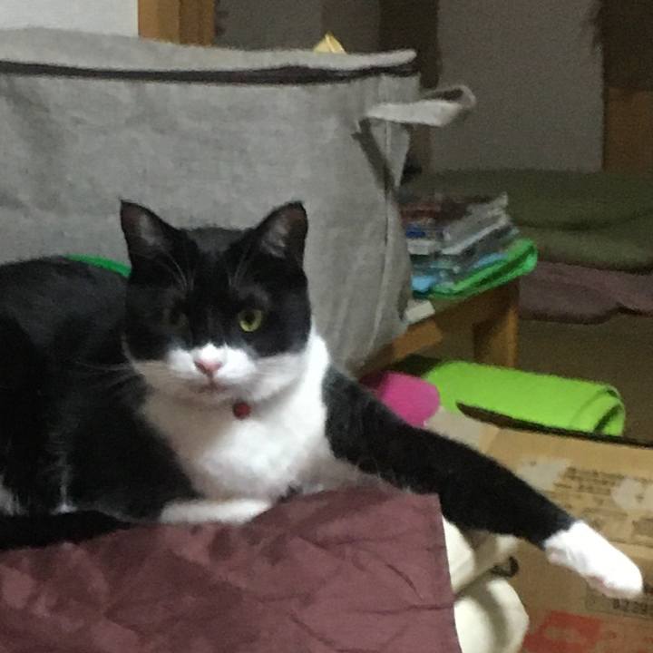 98d858e4 8b3e 4259 b43f 5666ca7e1bbb 1582376178329