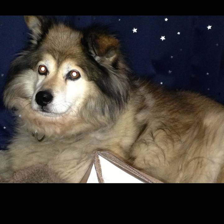 98d87250 2a17 49b6 a245 80a19caabe5e 1652678815502