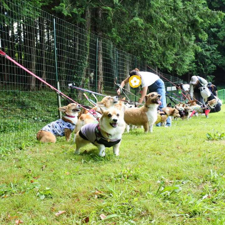 98d87804 22c4 499e 99b8 50de8e6e22cf 1661667841833