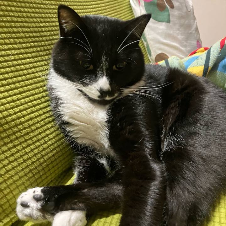 98d8818f f7bf 4106 b8e2 9d47d1a9e836 1671075425352