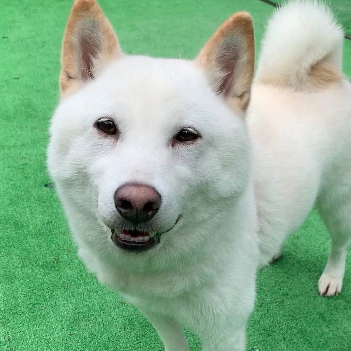 98d89e23 7996 4e57 b63b 1ca8add206d7 1595969227359