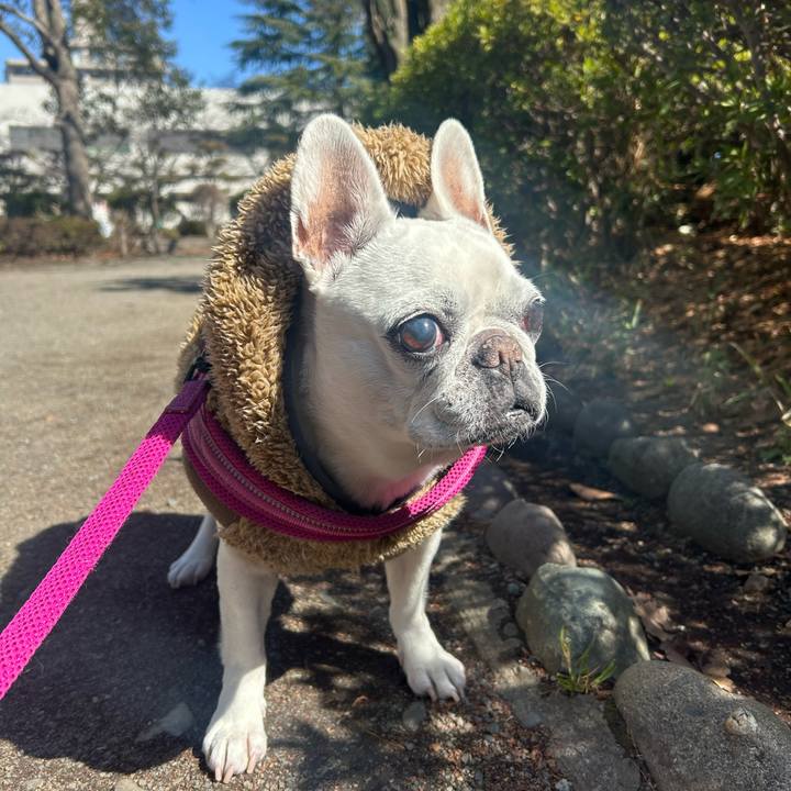 98d8e3db 8db6 466b 921a 4d7bd21750af 1741438374670