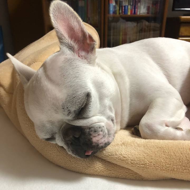 98d8fad9 3caa 4491 8baa 587afbd369f0 1538482446782